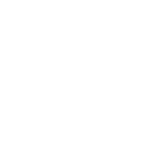 E2S Logo